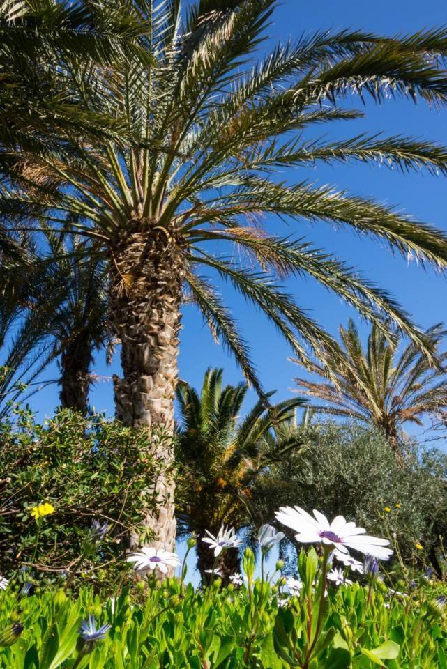 Authentic Cretan Stone Windmill Vila Sitia  Exterior foto