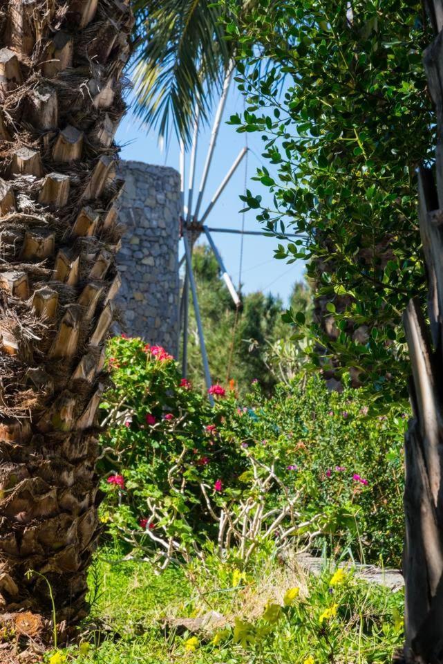 Authentic Cretan Stone Windmill Vila Sitia  Exterior foto